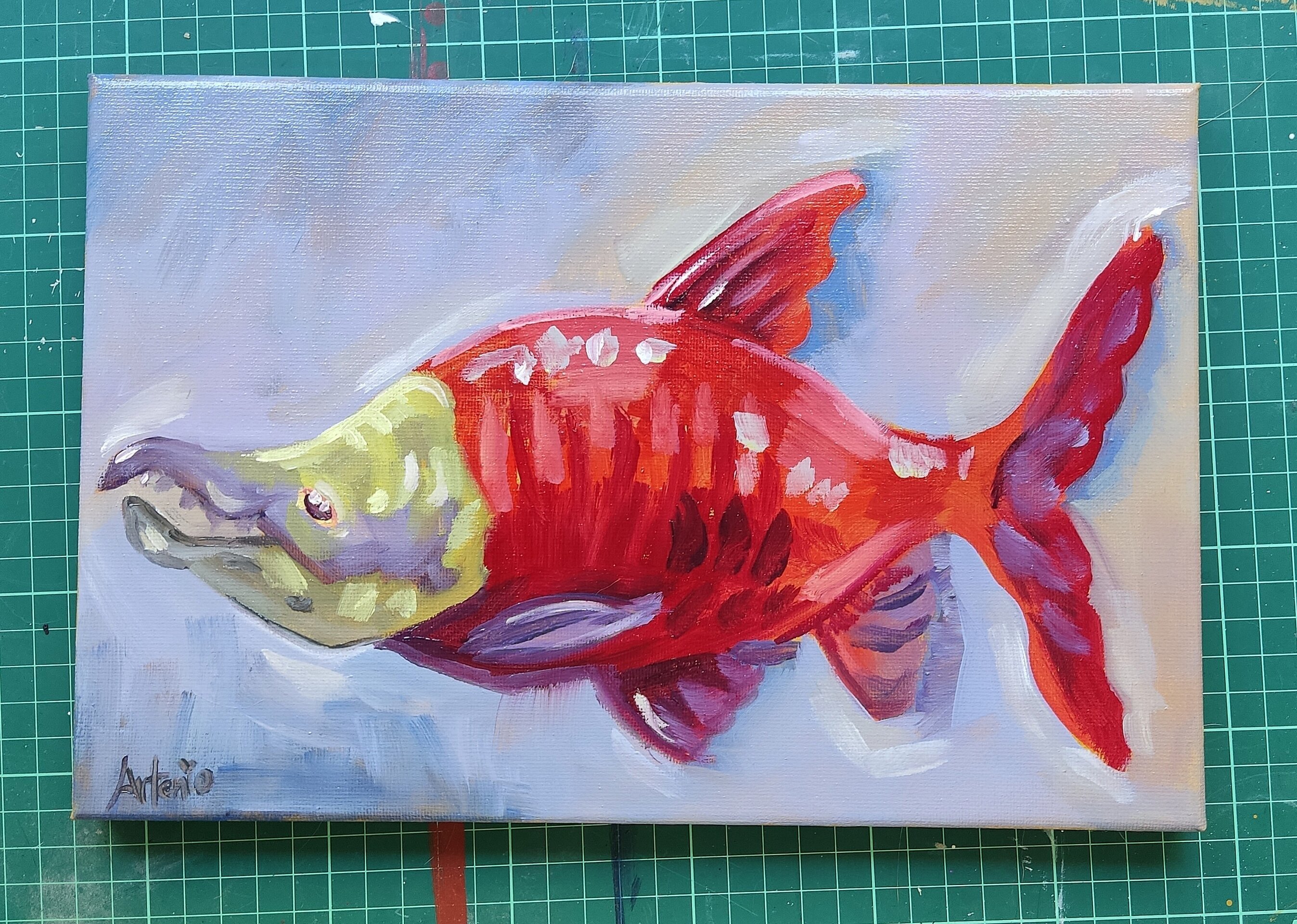 Pintura Salmón - 2