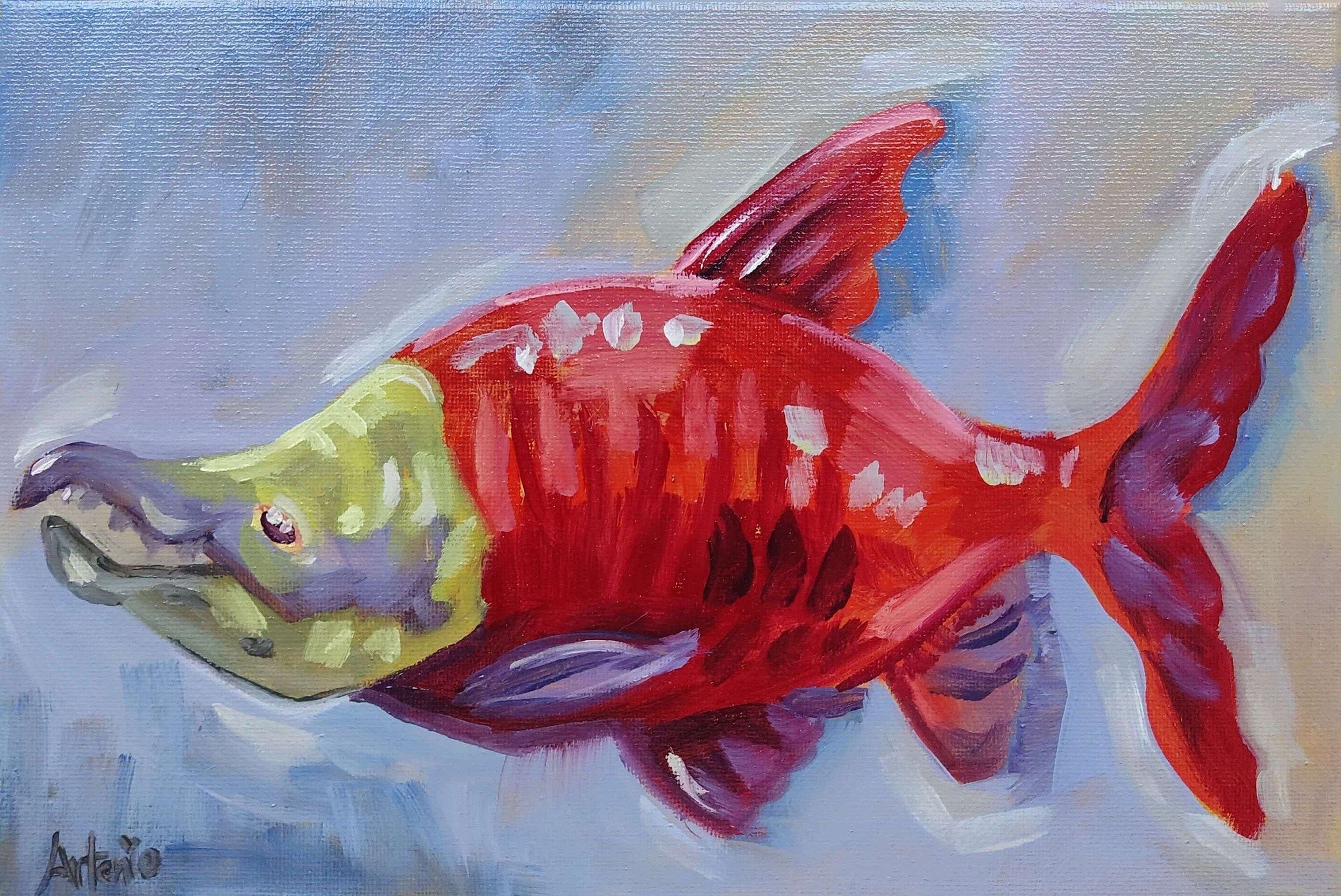 Pintura Salmón - 3